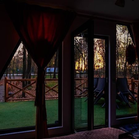 Villa Artarica à Calugarenii  Extérieur photo
