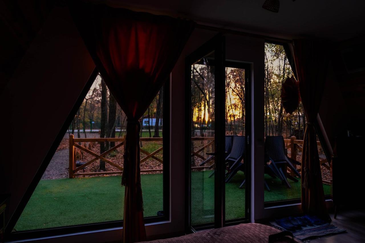 Villa Artarica à Calugarenii  Extérieur photo
